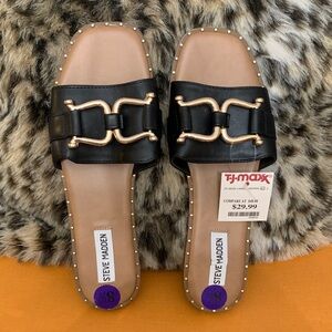 Steve Madden Black and Gold Buckle Sandals